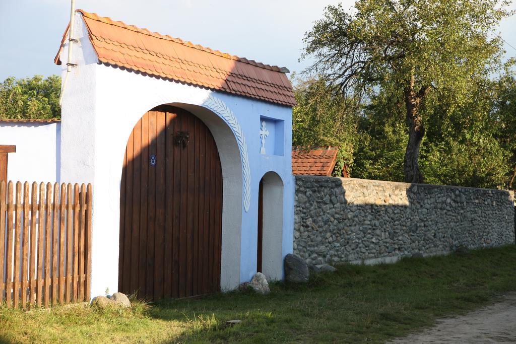 Villa La Mosu Porumbacu de Sus Exterior foto